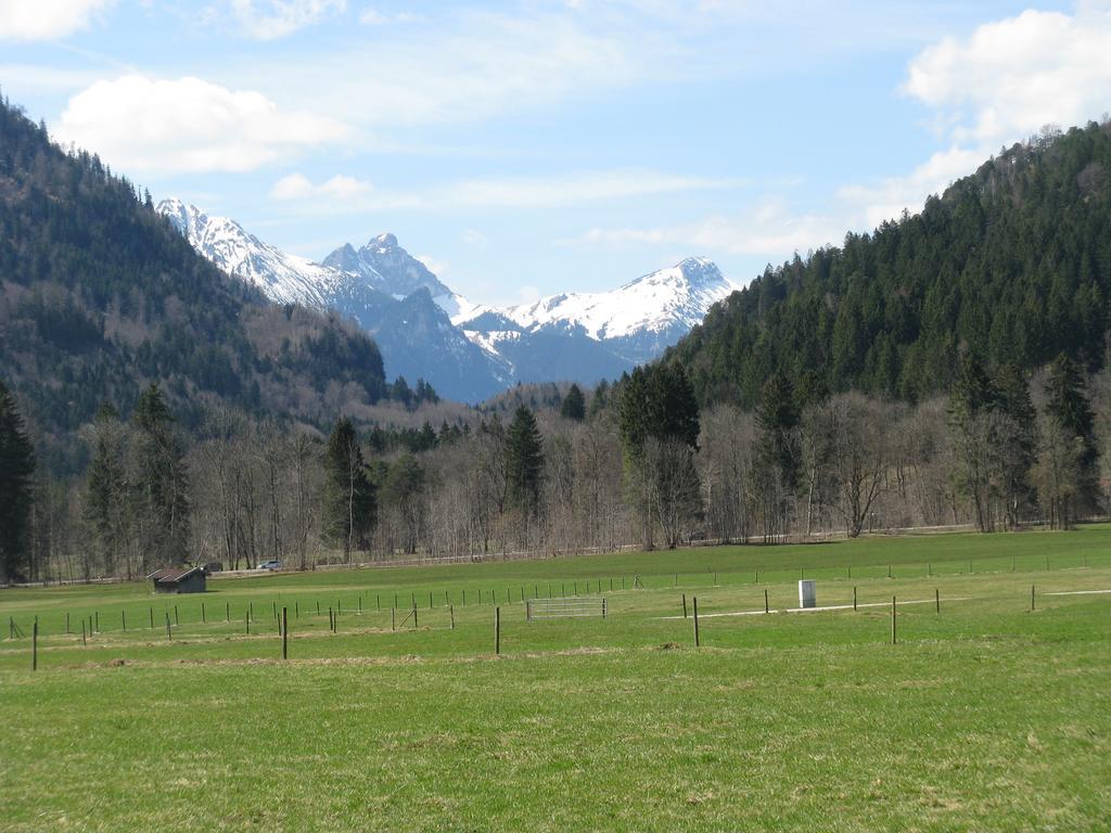 Alpenhotel Allgaeu Hohenschwangau Oda fotoğraf