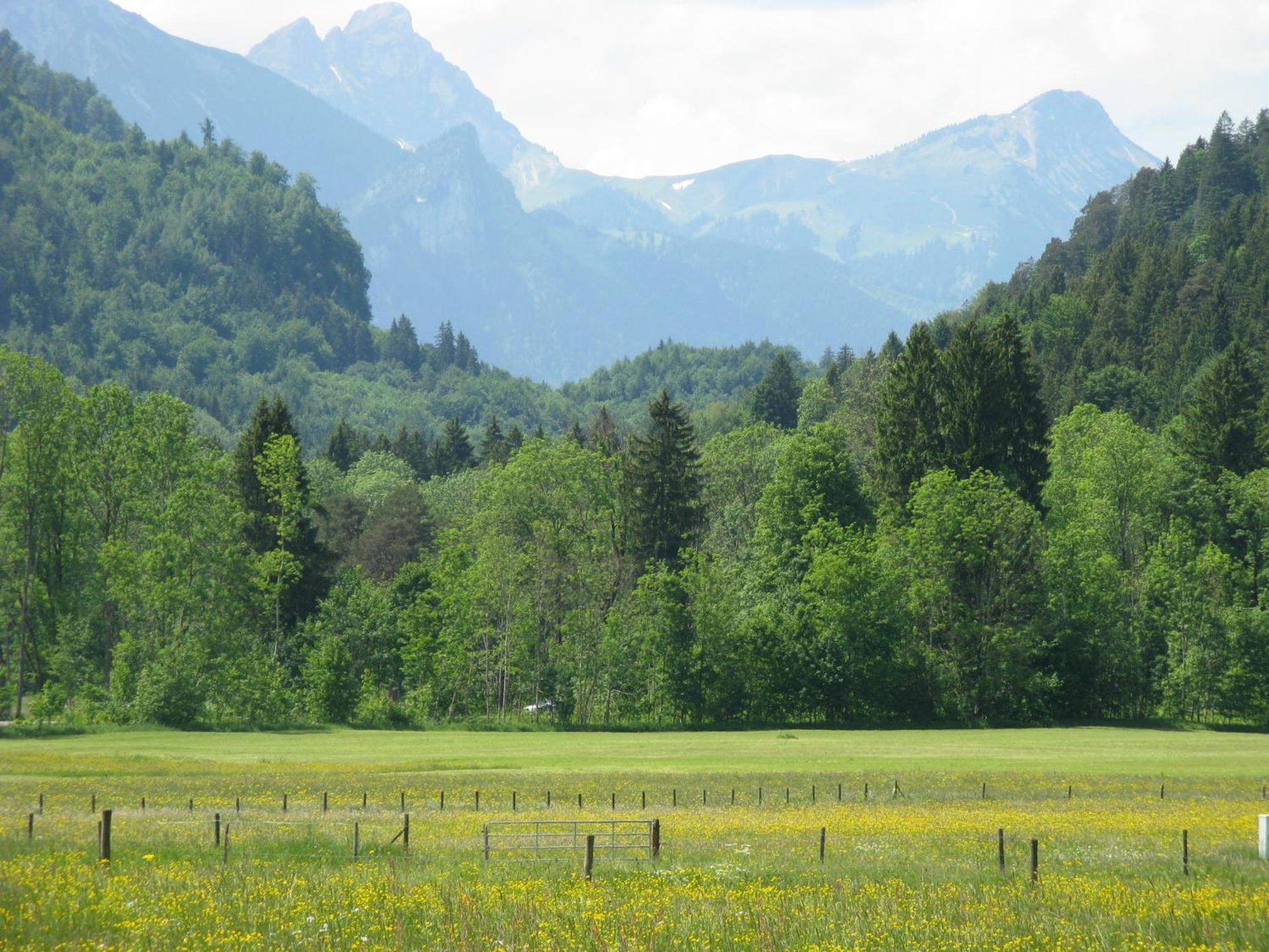 Alpenhotel Allgaeu Hohenschwangau Dış mekan fotoğraf