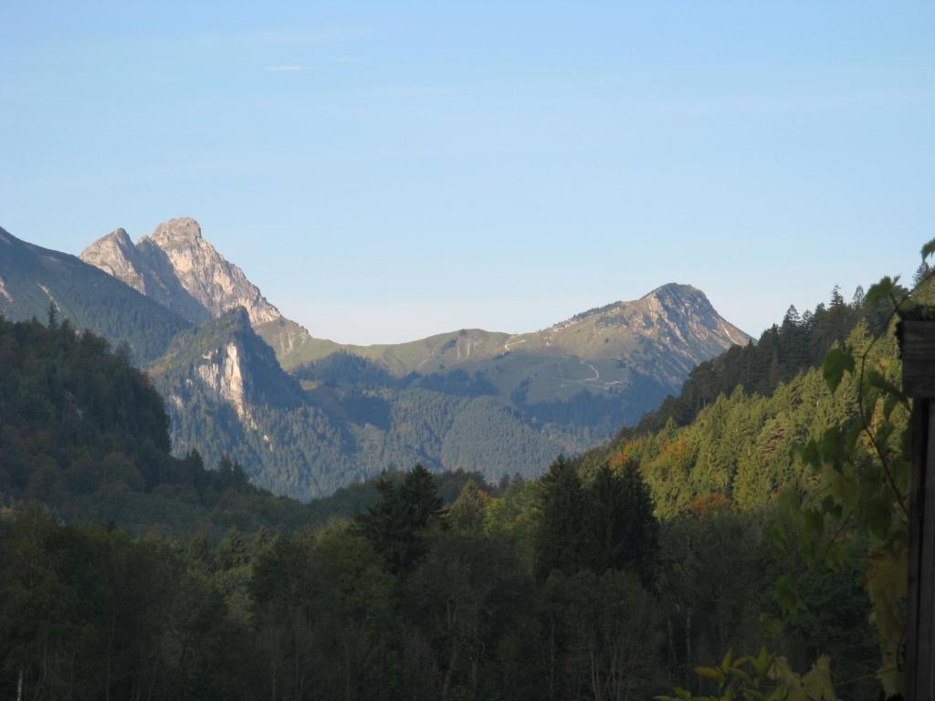 Alpenhotel Allgaeu Hohenschwangau Dış mekan fotoğraf